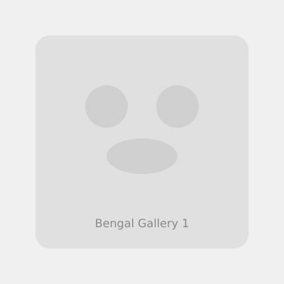 Beautiful Bengal cat portrait