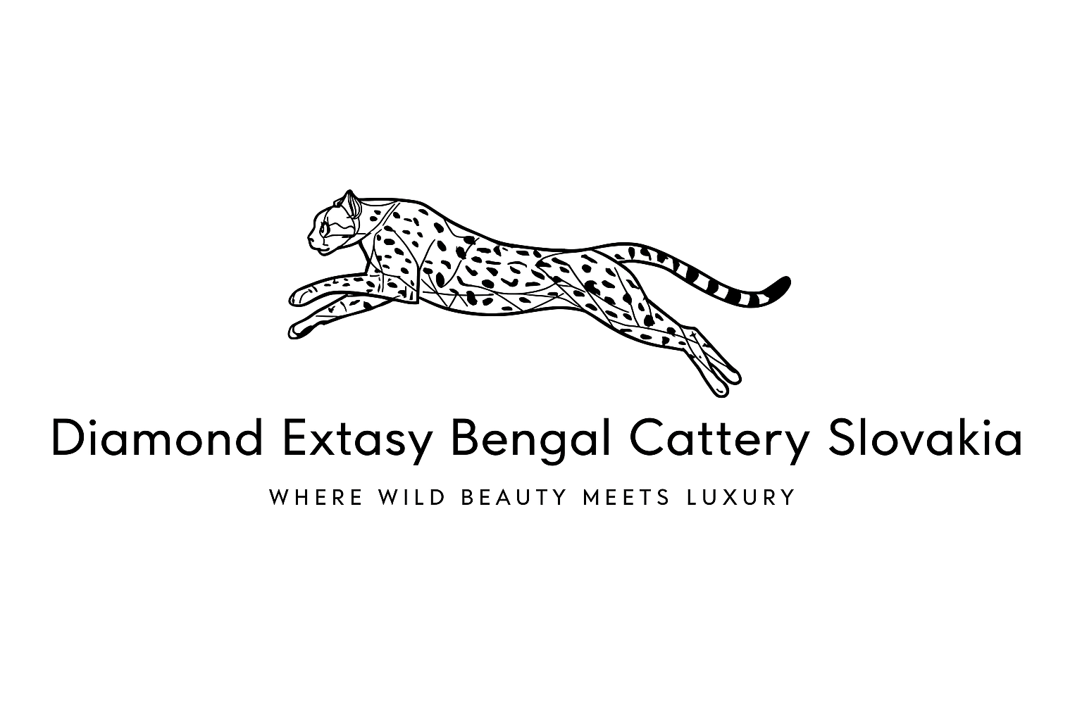 Diamond Extasy Bengal Cattery